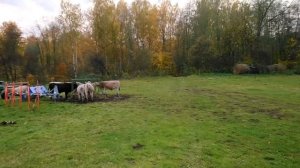 Фасуем картошку из биг бегов по мешкам