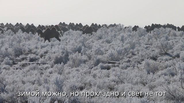 Природный парк Алтын-Эмель. Инструкция к посещению. #алматы #гид