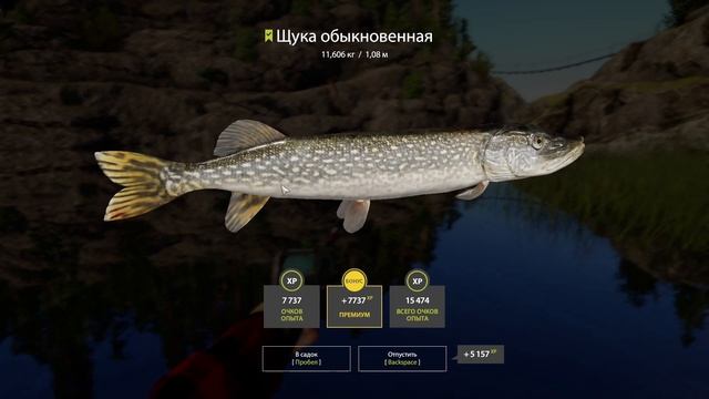 Щука | оз. Ладожское | Русская Рыбалка 4 смотреть онлайн