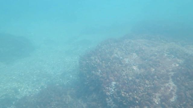 Мелитопольская банда смотреть онлайн