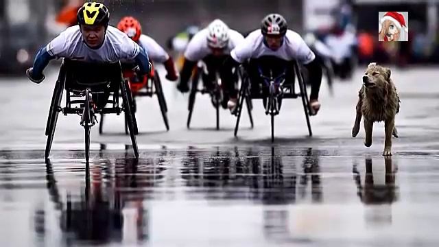 Фотовыставка «Best of Russia» смотреть онлайн