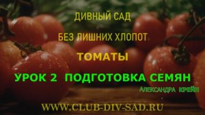 ТОМАТЫ Часть 1. Урок 2. ПОДГОТОВКА СЕМЯН