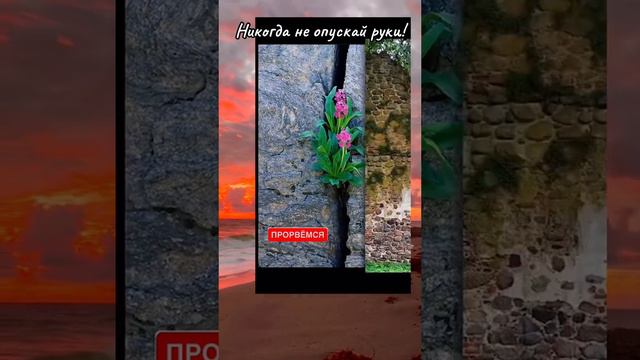 «Падай семь раз, вставай восемь». Японская пословица #добрыелюди #мир #истина