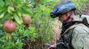 Саперы РМК выполнили более 80% плана разминирования территорий Нагорного Карабаха