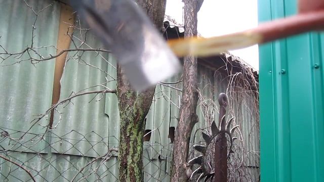 Прививка плодовых деревьев весной.Прививка абрикоса на сливу.Что можно привить на сливу смотреть онлайн