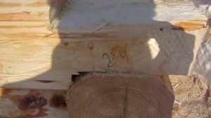 Сруб 10*10м  для дома - Сосна