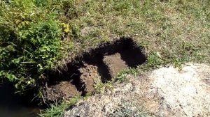 Мостик своими руками для дачного народа