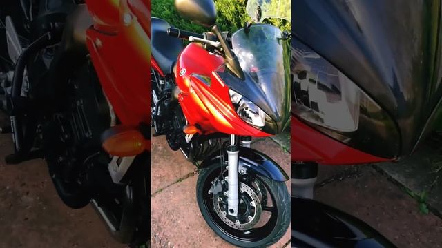 Yamaha fz6s красота