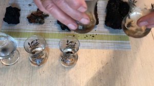 А что если это не ЧАГА? Как определить?