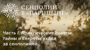 Сенполии в "Царицыне". Часть I. Практические советы, тайны и секреты ухода за сенполиями.