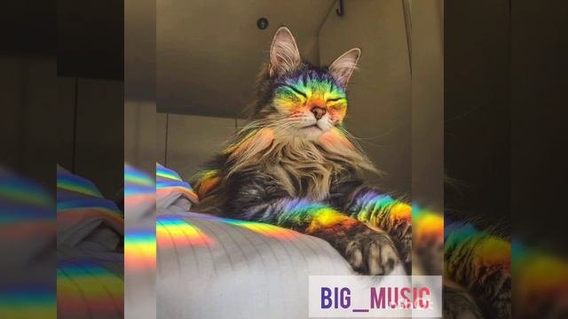 Gayazov$Brather$, Filatov,Karas - Пошла Жара