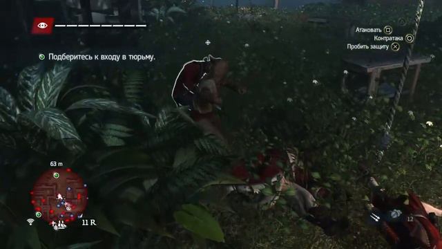 Assassin’s Creed IV: Black Flag страдание хуже смерти 100% смотреть онлайн