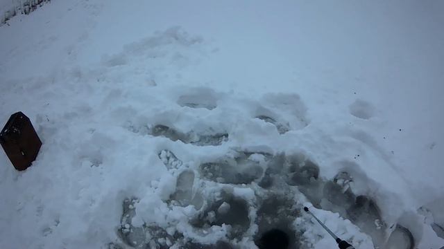 НАМАХАЛИСЬ от души))) Рыб ВСТАВАЛ в очередь! смотреть онлайн