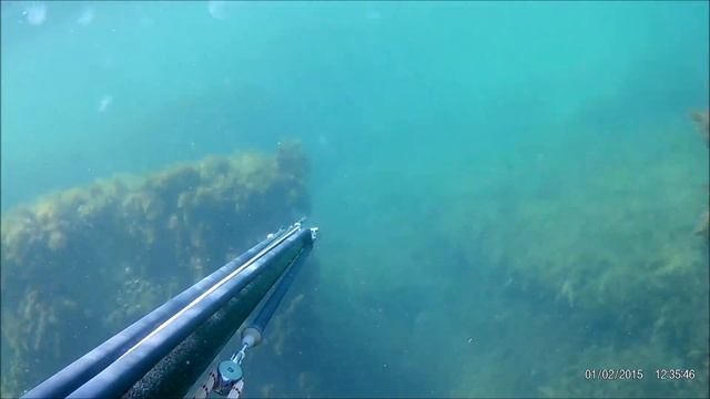 Подводная прогулка в озере Донузлав смотреть онлайн