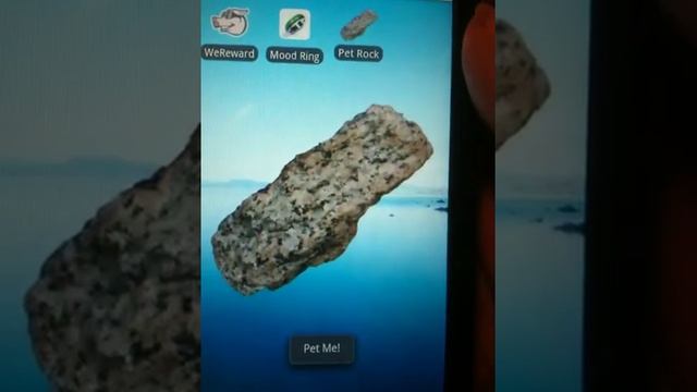 Pet Rock for Android