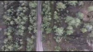 Работает арта 488 МСП 144 Гв дивизии.