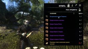 Что ТЕБЕ делать после 50 лвл И 160 ОГ в ТЕСО? | The Elder Scrolls Online | TESO | ESO