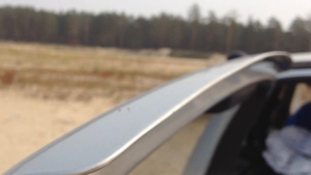 Усач чёрный пихтовый (Monochamus urussovi) взлетает 38 секунд смотреть онлайн