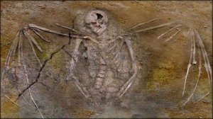 ВИМАНА / АРТЕФАКТЫ / МАНТРА СВЯЗЬ С БОГАМИ / ДРЕВНИЕ / ПОСЛАНИЕ ПРЕДКОВ /