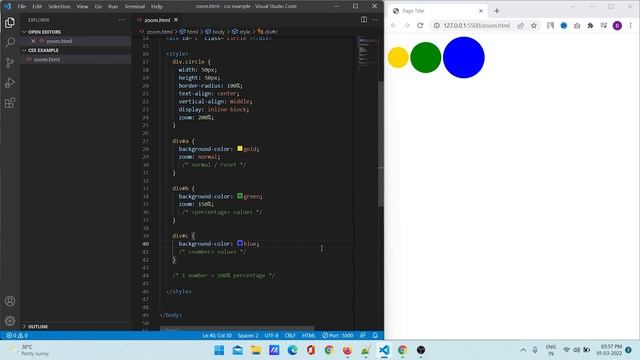 CSS ZOOM Property | Web Development Skills