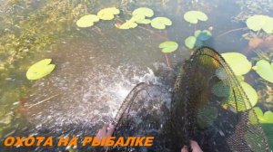 ЛОВЛЯ ЛИНЯ НА ВЕРШИ