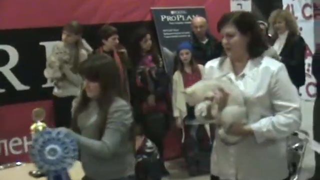 Награждение Чемпионов Мира WCF от "Anno Domini" -часть 2 смотреть онлайн