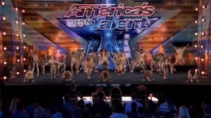 ОЧЕНЬ КЛАССНОЕ ВЫСТУПЛЕНИЕ ТАНЦЕВАЛЬНОЙ КОМАНДЫ | Америка ищет таланты !