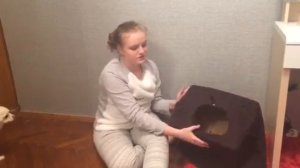 DIY будка для собаки своими руками. Бесплатный домик для вашего питомца