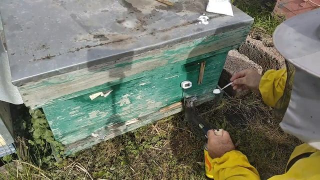 2-ая обработка!!!Сублиматор щавелевой кислоты газовый