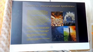 Индивидуальный проект 10 класс по теме : Экологическая проблема ?