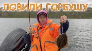 Ловили Горбушу на реке Титовке и Мотовском заливе