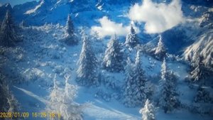 Сплетница  Маша - Все вокруг завидуют , а сама Маша , не знает чему .
