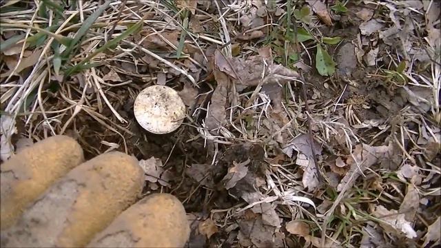 I Almost Died. My Story. How Metal Detecting Helped Me Recover. смотреть онлайн