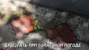Теперь трава в тротуарной плитке меня больше не беспокоит. 2 эффективных способа от неё избавиться