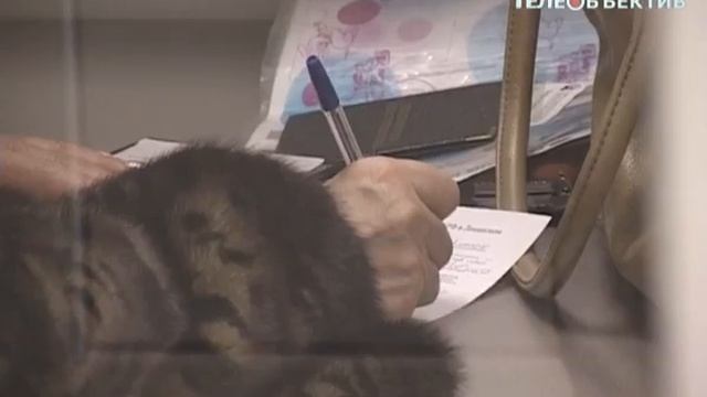 Софинансирование пенсий смотреть онлайн