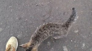 ВОЛНОВАТЬСЯ. не. СТОИТ. Малахов Геннадий.