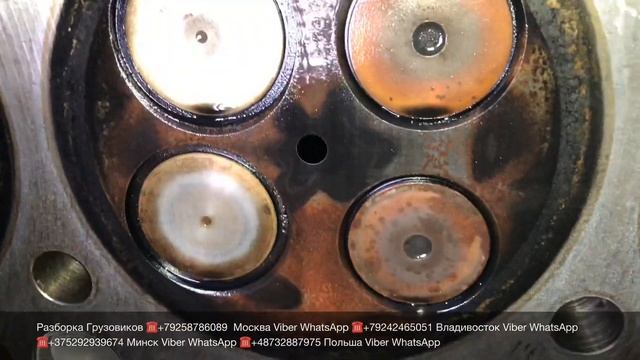 Продаётся ГБЦ головка блока цилиндров D2066LF для MAN TGA без пробега по РФ Разборка грузовиков смотреть онлайн