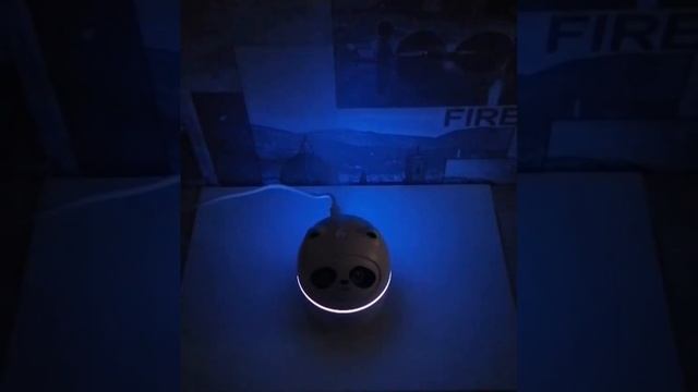 Увлажнитель воздуха и аромадиффузор Панда смотреть онлайн