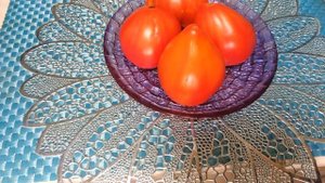 Обзор томата в разрезе  сорт Канадское наследие