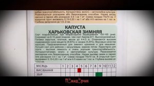 Семена Капуста Харьковская зимняя профпакет - Помидорчик