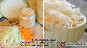 Лучшие сроки для заготовок: когда солить капусту в ноябре и как это правильно сделать