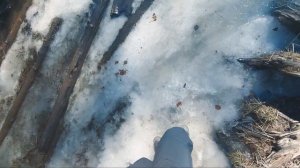 5 правил поведения, для ребенка в лесу. Поход с детьми.