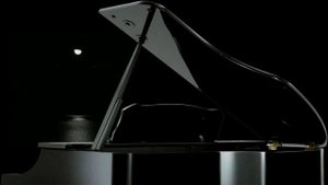grand piano  Free HD stock footage (рояль)