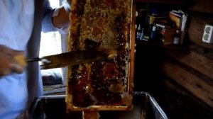 Какой выбрать электрический пасечный нож