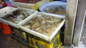 Тайланд! Рыбный рынок в Раваи (Пхукет)!