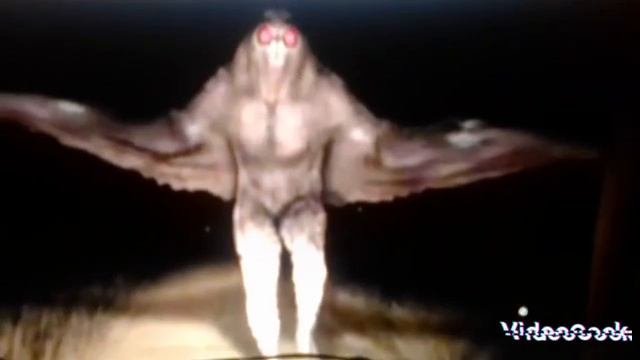 Человек Мотылёк существует на самом деле?