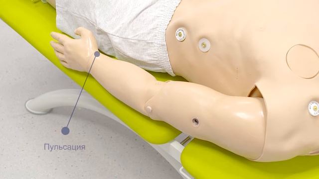 Инструкционное видео Центра медицинских аккредитаций СПбГУ смотреть онлайн