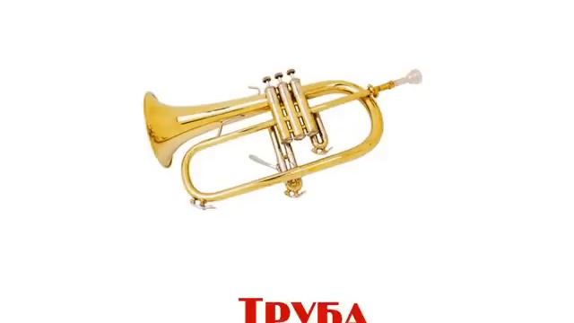 Презентация для детей 