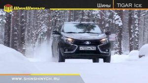 ШинШиныч. Обзор шин Tigar Ice