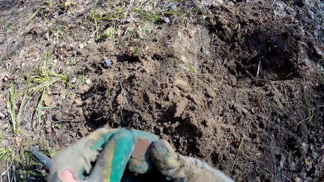 Отличный КОП в лесу подмосковья.Куча монет.Удачный выход